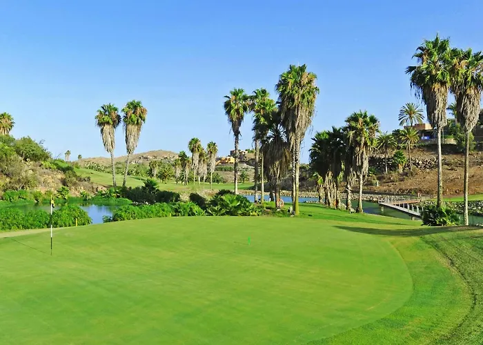 Vakantiehuis Salobre Vista Golf 29 *
